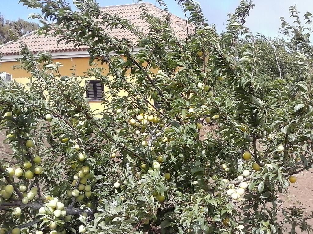 Casa Fatima Valle Gran Rey Bilik gambar